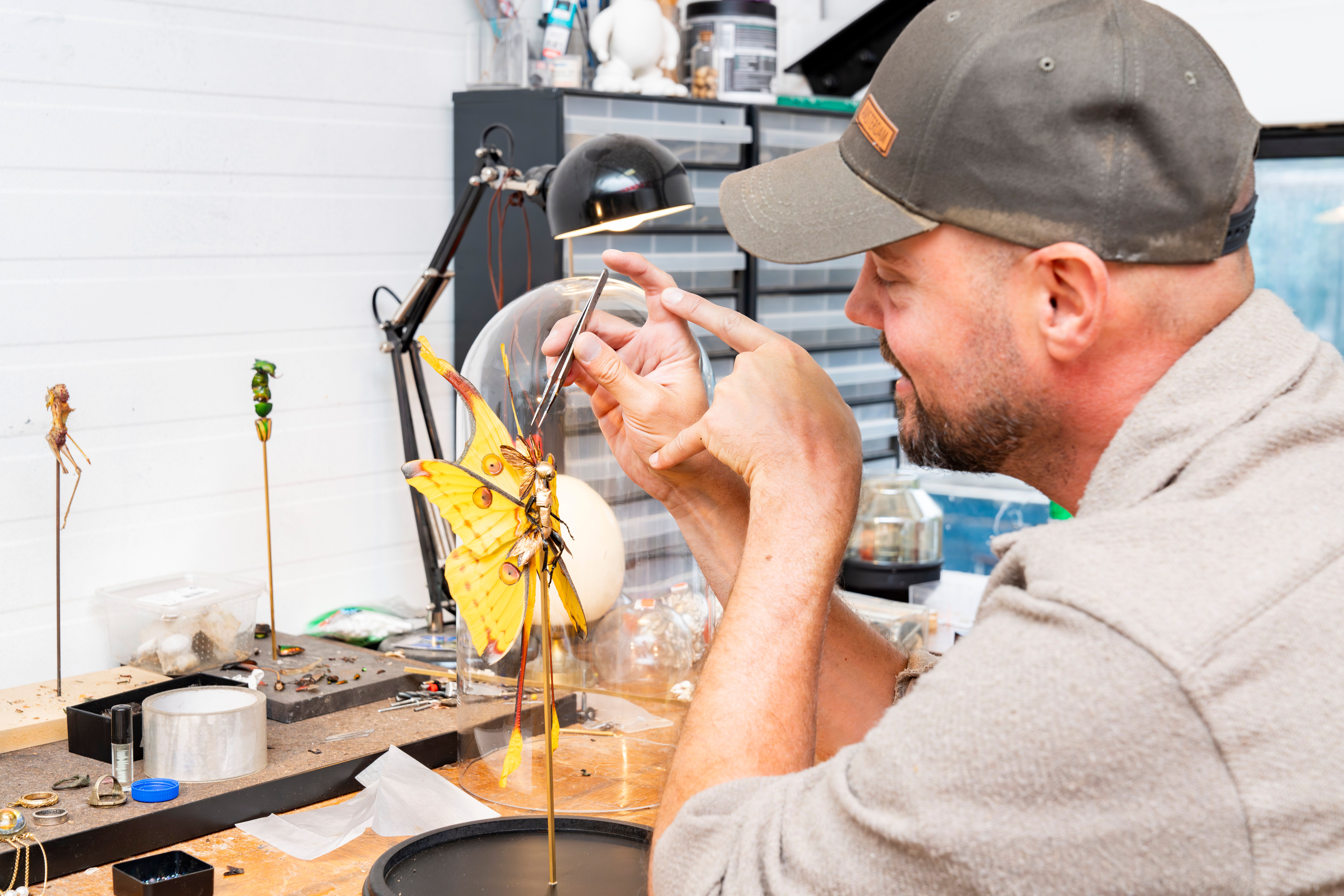 Cederic Laquize - De Hoop